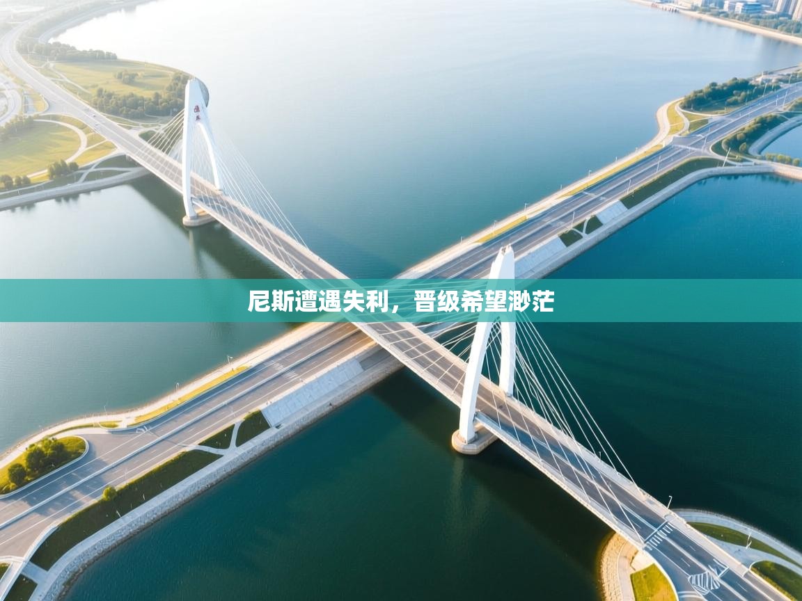 尼斯遭遇失利,晋级希望渺茫 第2张