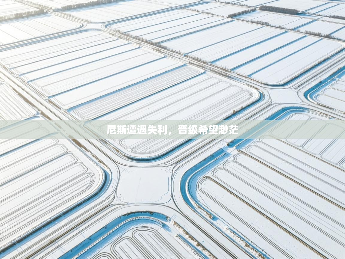 尼斯遭遇失利,晋级希望渺茫 第1张