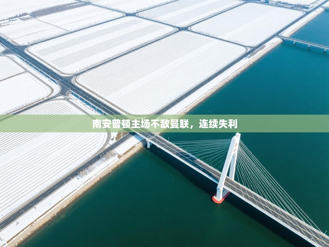 南安普顿主场不敌曼联，连续失利  第1张