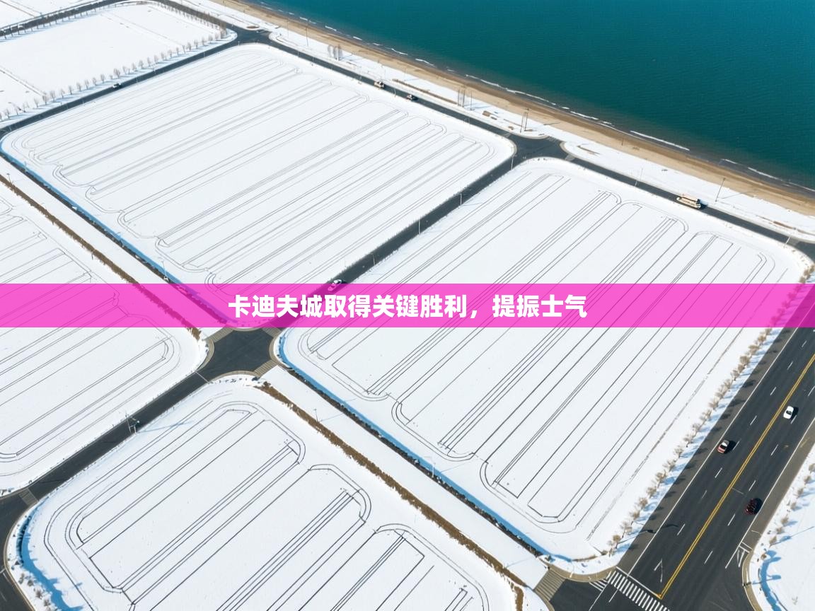 卡迪夫城取得关键胜利，提振士气  第1张