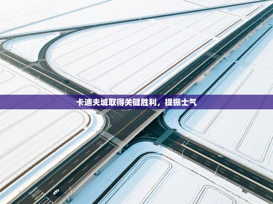 卡迪夫城取得关键胜利，提振士气  第2张