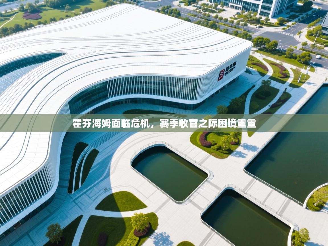 霍芬海姆面临危机，赛季收官之际困境重重  第2张