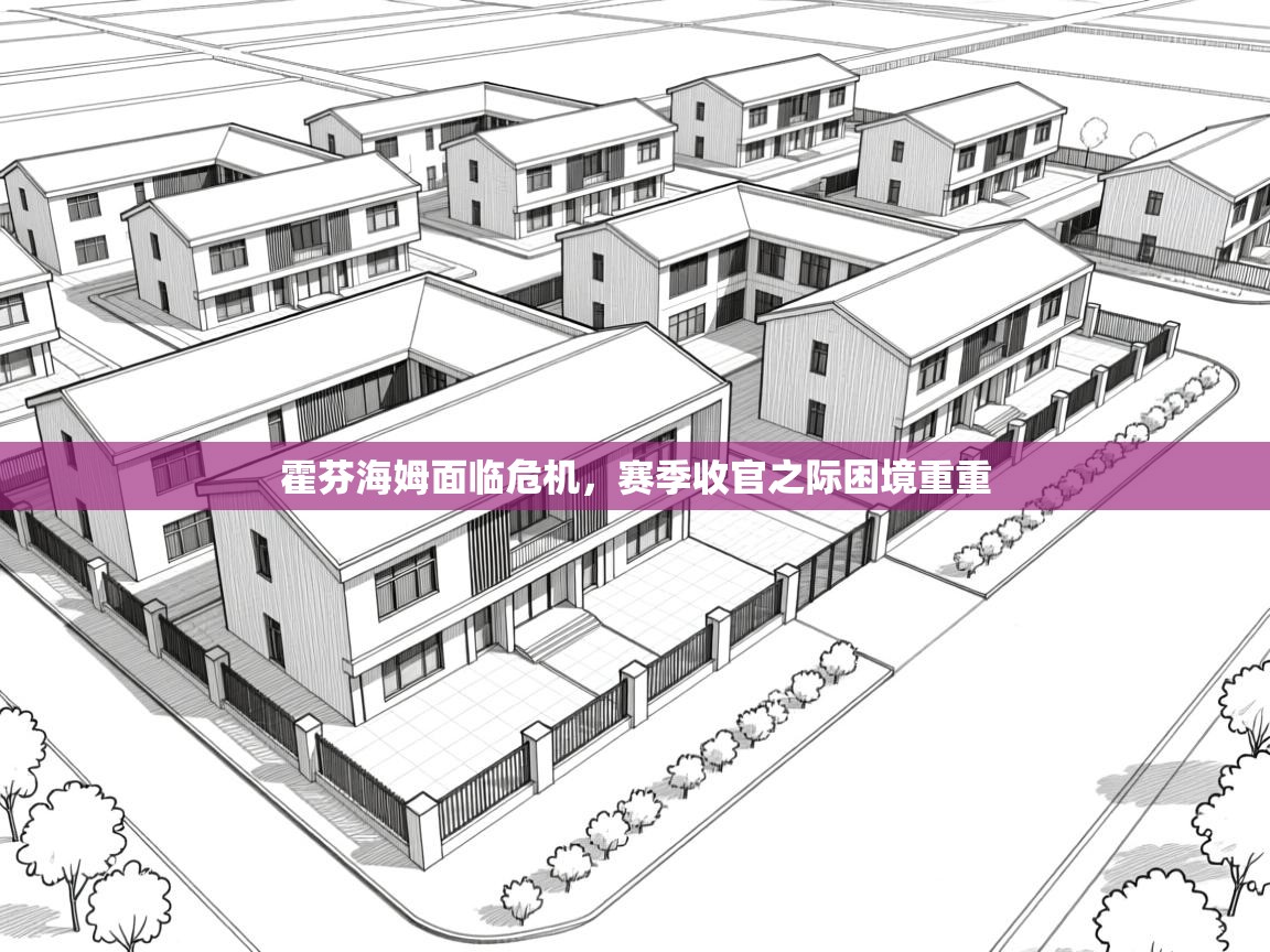 霍芬海姆面临危机，赛季收官之际困境重重  第1张