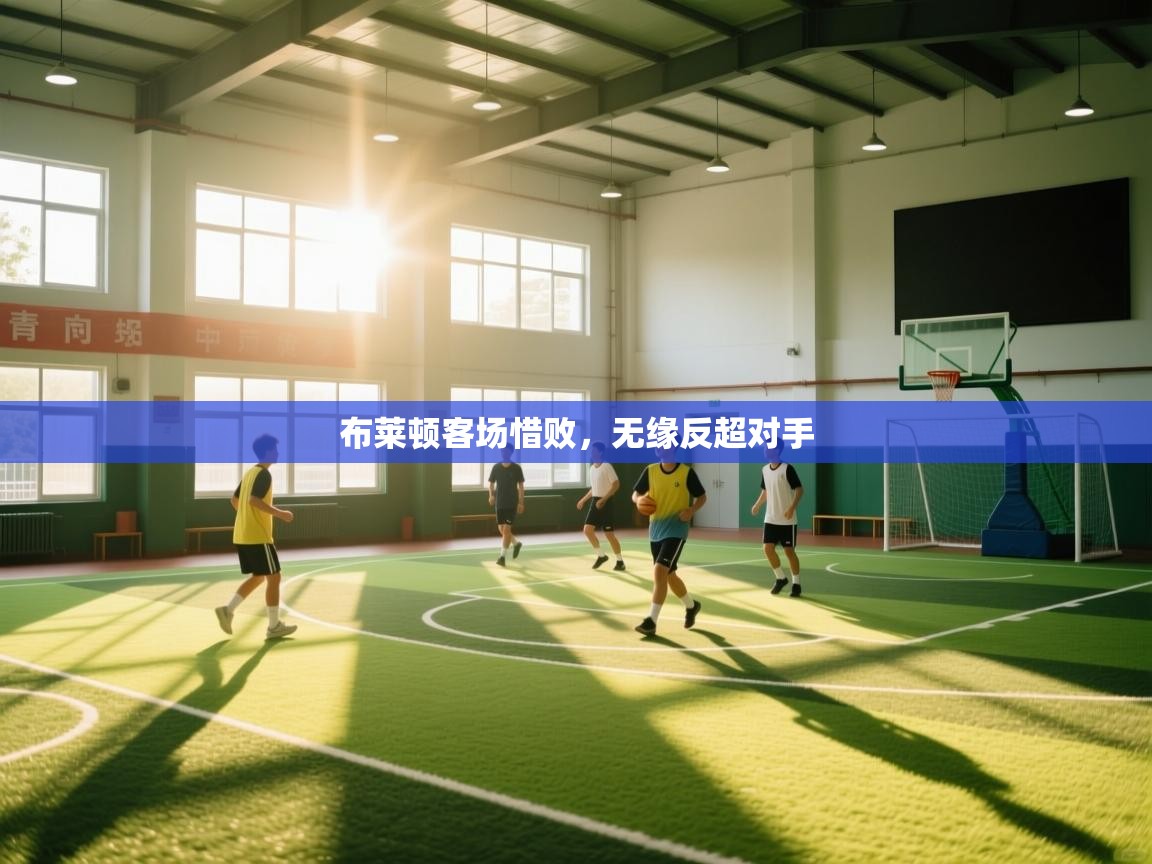 布莱顿客场惜败，无缘反超对手  第2张